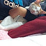 Princess is registered to the contest to win money with this photo: