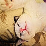 cat, feline, pet, white_fur, pink_nose, whiskers, ear, paw, closeup, portrait, lying_down, upside_down, cozy, blanket, indoors, cute, relaxed, fur, soft_texture, sleepy