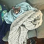 Lissy is registered to the contest to win money with this photo: art, blanket, cat, crochet, felidae, knitting, lace, linens, pattern, scarf, small_to_medium_sized_cats, textile, thread, wool, woolen