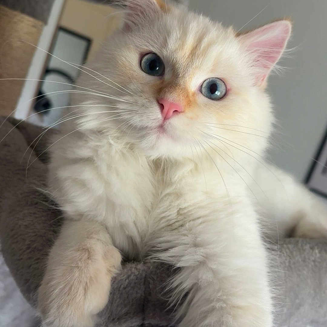 Yuki