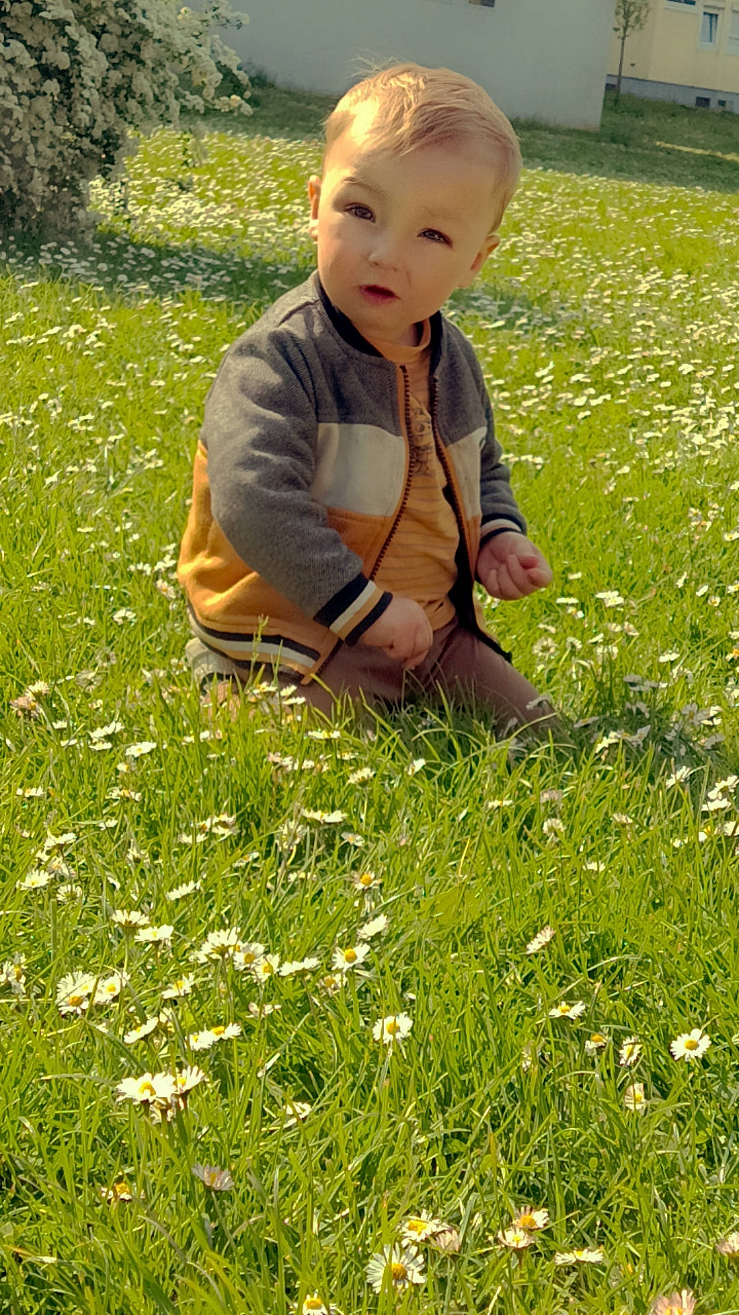 Arthur a rejoint le concours — aidez-le/la à gagner de superbes lots ! baby, baby_toddler_clothing, botany, child, flooring, flower, grass, grass_family, grassland, groundcover, happy, lawn, leaf, meadow, people_in_nature, person, plant, prairie, spring, sunlight