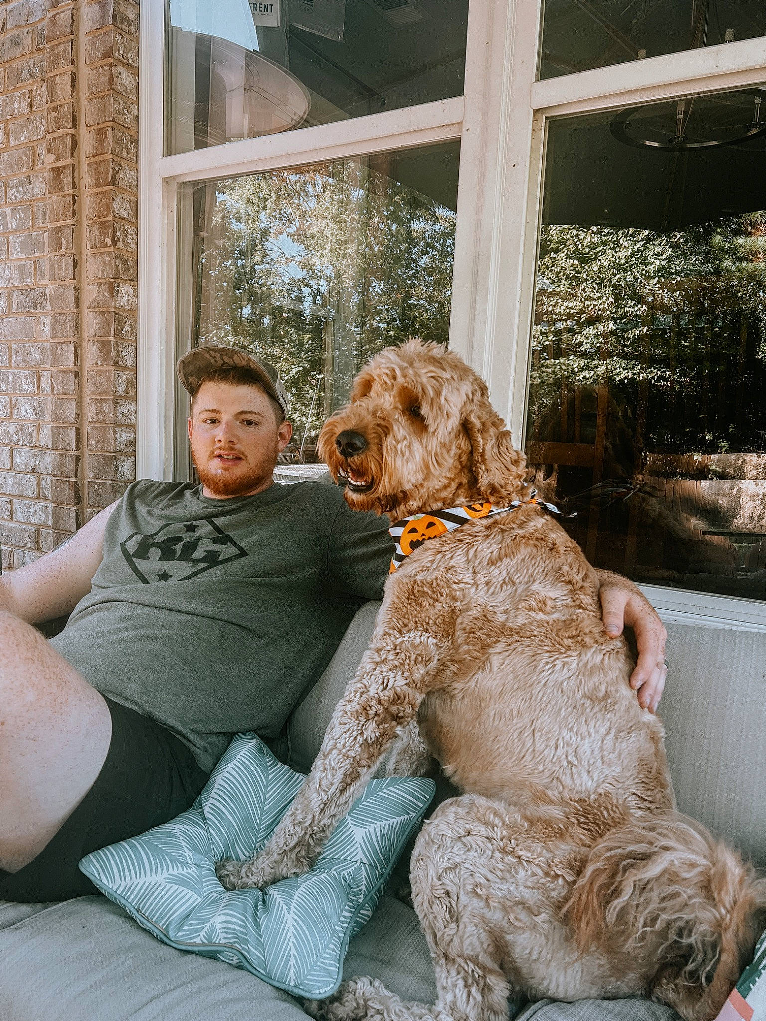 River is registered to the contest to win money with this photo: carnivore, chair, comfort, companion_dog, couch, dog, dog_breed, dog_collar, fawn, flooring, fur, gun_dog, happy, liver, plant, sitting, spaniel, sporting_group, thigh, water_dog