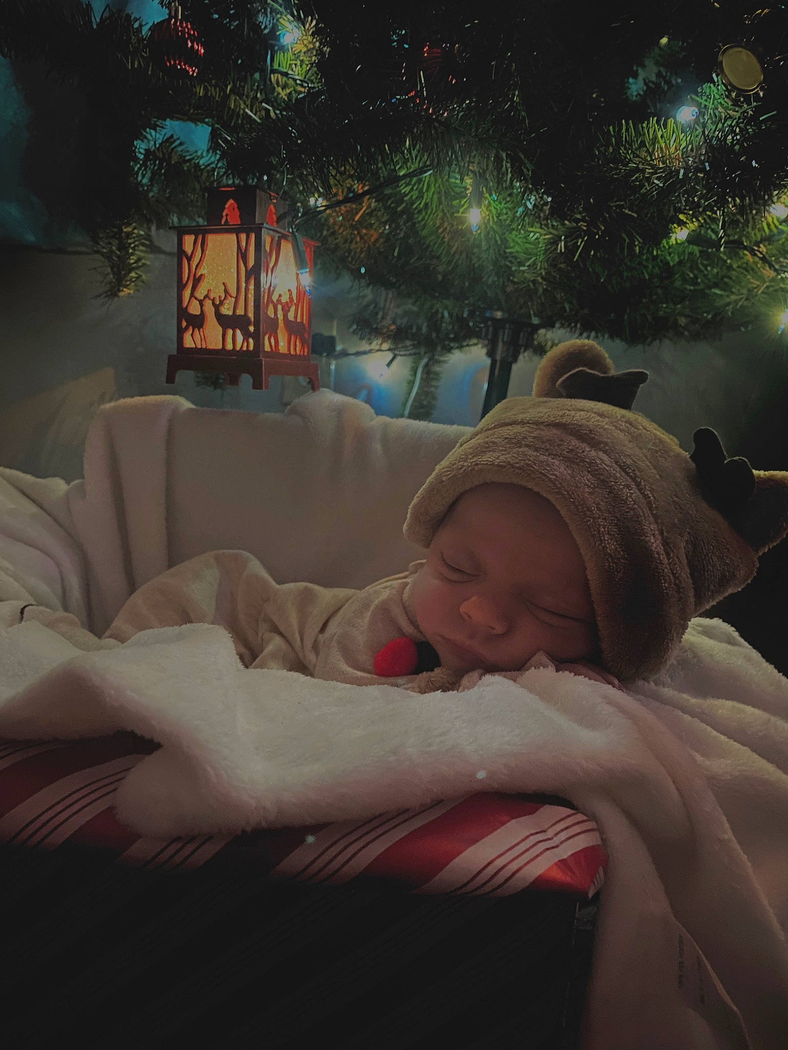 Jayce is registered to the contest to win money with this photo: art, baby, christmas, christmas_eve, comfort, couch, darkness, event, flash_photography, fun, holiday, lighting, linens, mammal, person, plant, room, space, toddler, tree