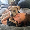 Pepper joined the competition — help win amazing prizes! affection, animal, blanket, brown_dog, casual, comfort, companion, couch, dog, furniture, home, human, indoor, light_brown_dog, living_room, person, pet, pillow, puppy, relaxation