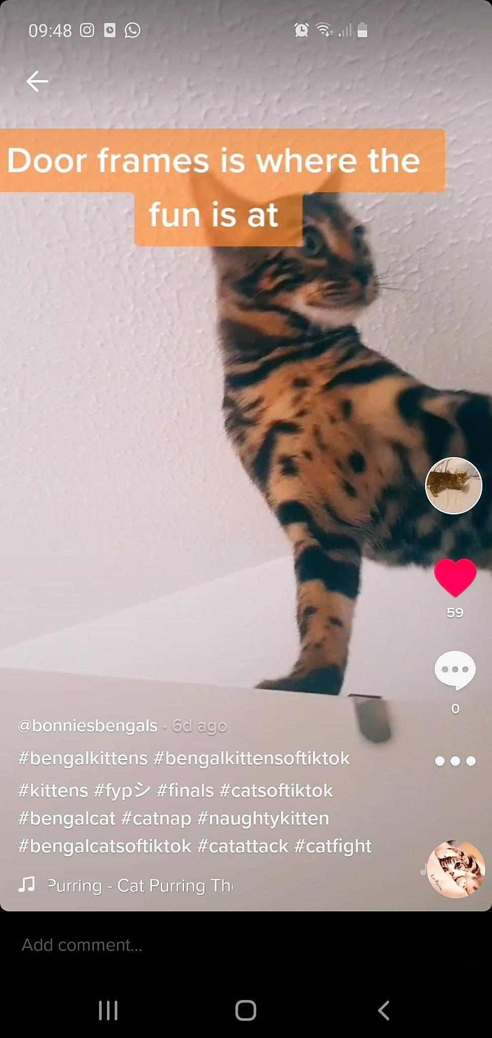 Shenron joined the competition — help win amazing prizes! adaptation, advertising, art, big_cats, carnivore, cat, felidae, font, giraffidae, leopard, pattern, paw, photo_caption, screenshot, small_to_medium_sized_cats, tail, terrestrial_animal, water, whiskers, wildlife