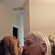 Gidget joined the competition — help win amazing prizes! affection, animal, bond, calm, close_up, couch, dog, elderly_person, face, fur, home, human, indoor, long_hair, nose, pet, portrait, quiet, side_view, white_hair