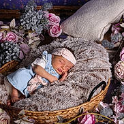 Thaïs participe au concours pour gagner de l'argent avec cette photo : baby, basket, blanket, child, cozy, cute, decor, flowers, fluffy, headband, infant, nature, newborn, peaceful, pink, portrait, purple, resting, sleeping, soft