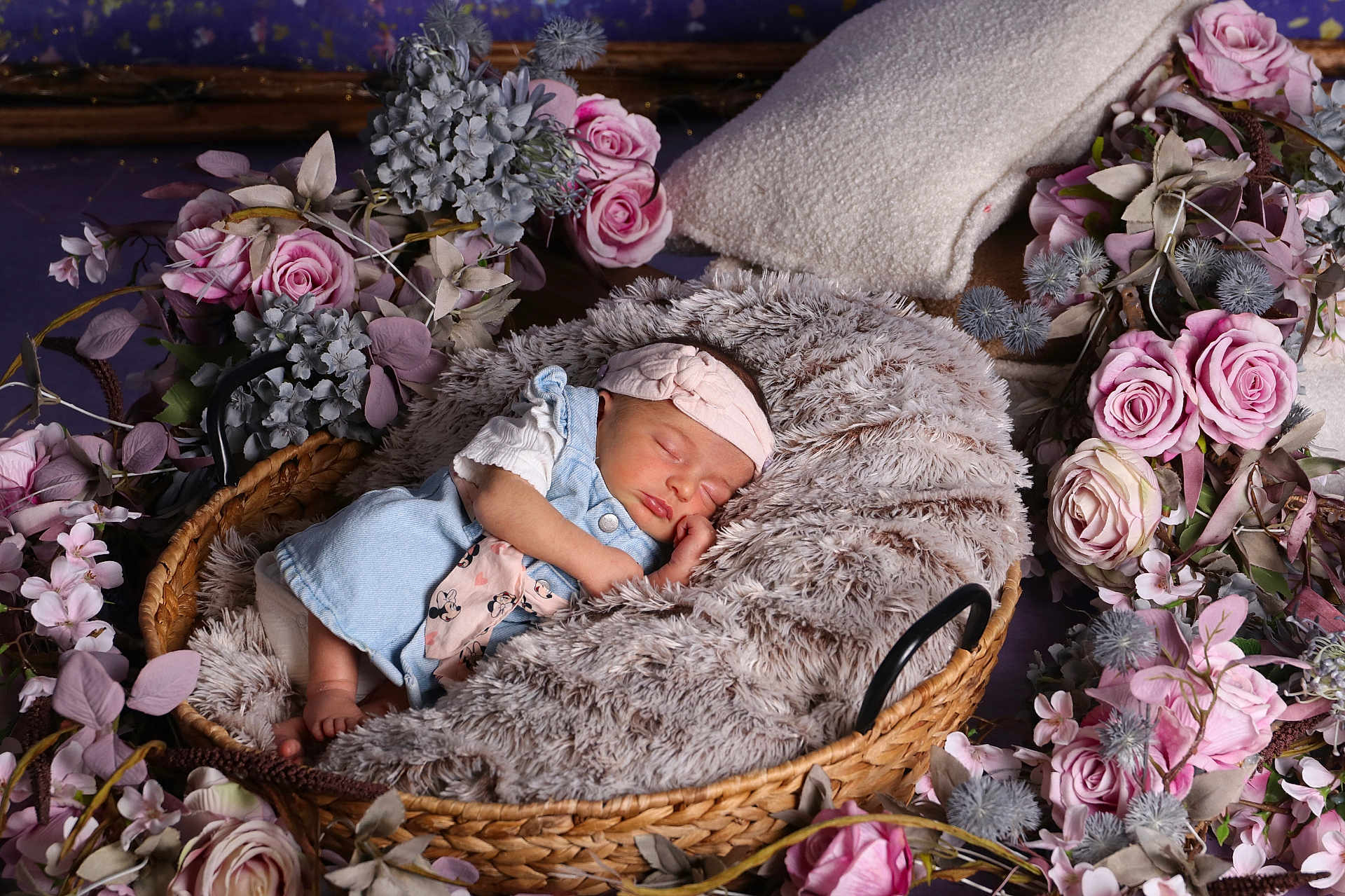 Thaïs participe au concours pour gagner de l'argent avec cette photo : baby, basket, blanket, child, cozy, cute, decor, flowers, fluffy, headband, infant, nature, newborn, peaceful, pink, portrait, purple, resting, sleeping, soft