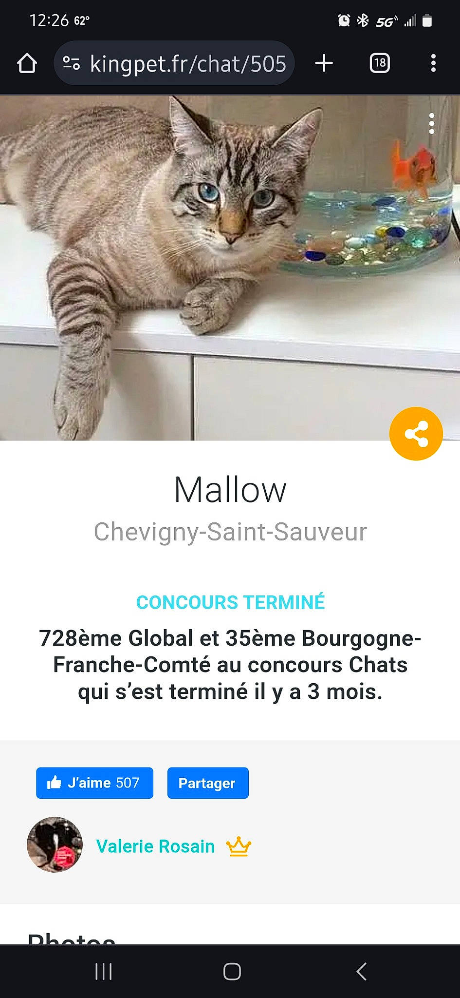 Micco joined the competition — help win amazing prizes! advertising, carnivore, cat, cat_supply, domestic_short_haired_cat, felidae, font, fur, gesture, happy, output_device, paw, photo_caption, screenshot, small_to_medium_sized_cats, tail, terrestrial_animal, web_page, whiskers, wildlife