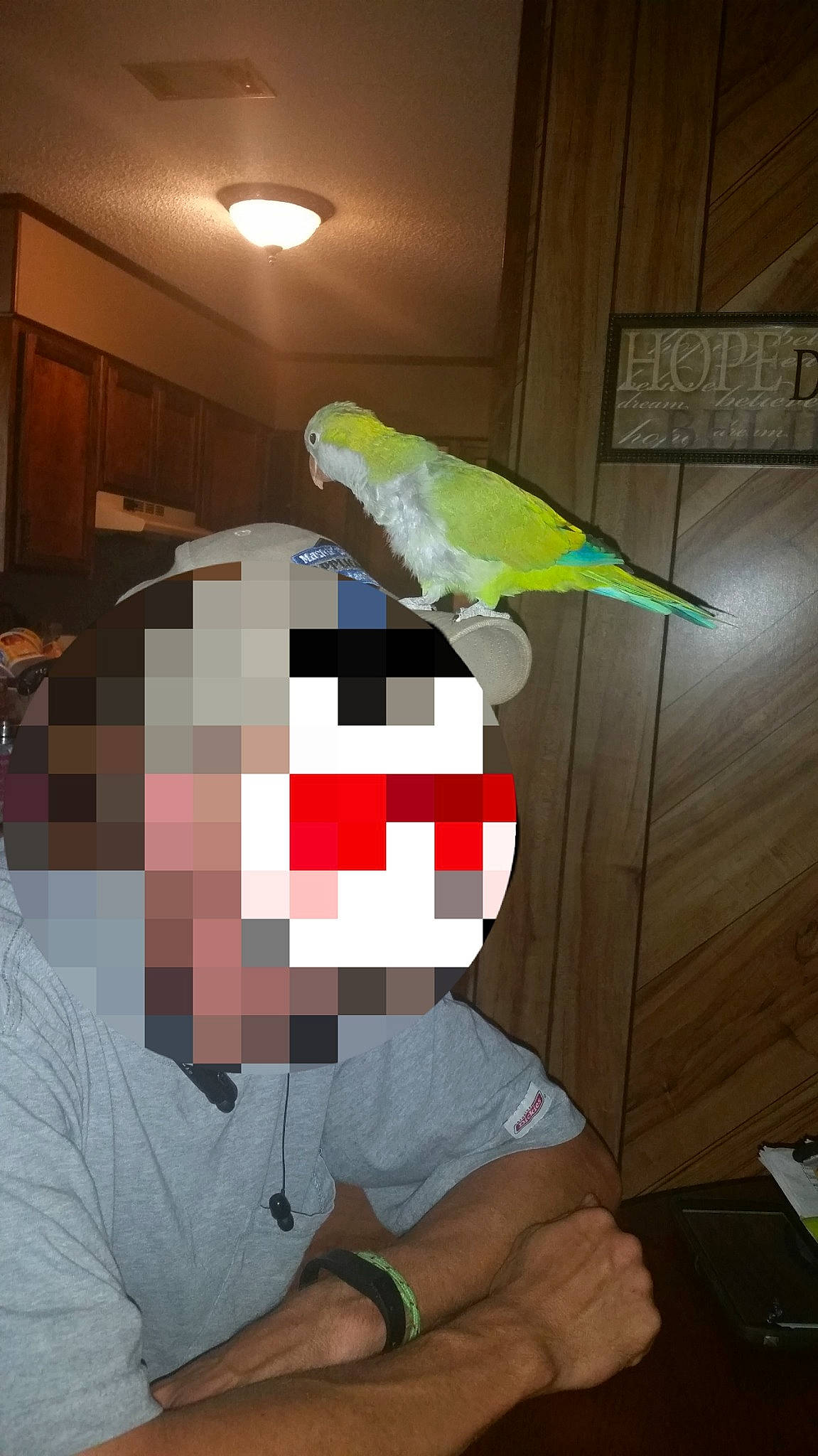 Mumble joined the competition — help win amazing prizes! parrot