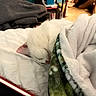 cat, white_cat, sleeping, bed, blanket, indoor, cozy, fur, nap, domestic_animal, pet, soft_texture, furniture, household, resting, animal, cute, warm, relaxation, comfort