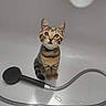 cat, kitten, tabby, bathtub, showerhead, pet, animal, curious, indoor, water_droplets, fur, whiskers, ears, collar, young, small, cute, looking_up, bathroom, domestic