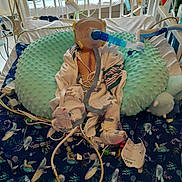 Bryant joined the competition — help win amazing prizes! infant, hospital_bed, medical_equipment, breathing_mask, pajamas, plush_toy, green_cushion, blanket, wires, tubes, baby, healthcare, child, intensive_care, monitoring, hospital, patient, cute, resting, indoors