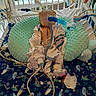 infant, hospital_bed, medical_equipment, breathing_mask, pajamas, plush_toy, green_cushion, blanket, wires, tubes, baby, healthcare, child, intensive_care, monitoring, hospital, patient, cute, resting, indoors