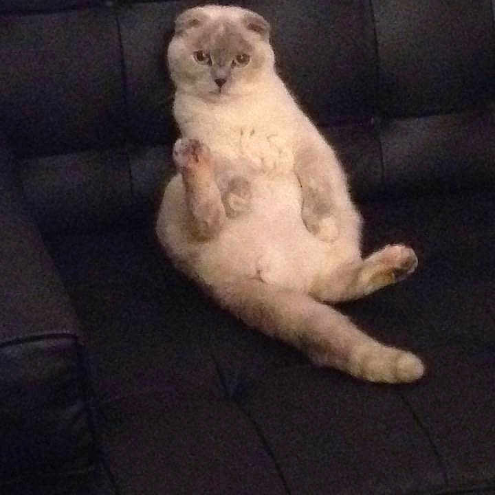 Déesse