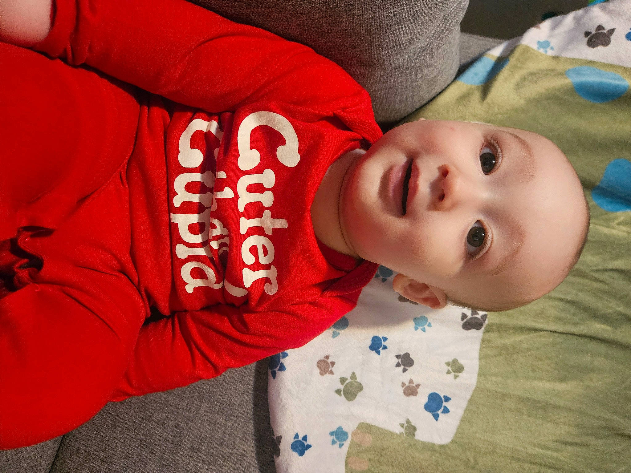 Dominic is registered to the contest to win money with this photo: baby, baby_toddler_clothing, carmine, cheek, child, comfort, elbow, eyelash, fun, happy, lip, mouth, nose, person, skin, sleeve, t_shirt, toddler, tree