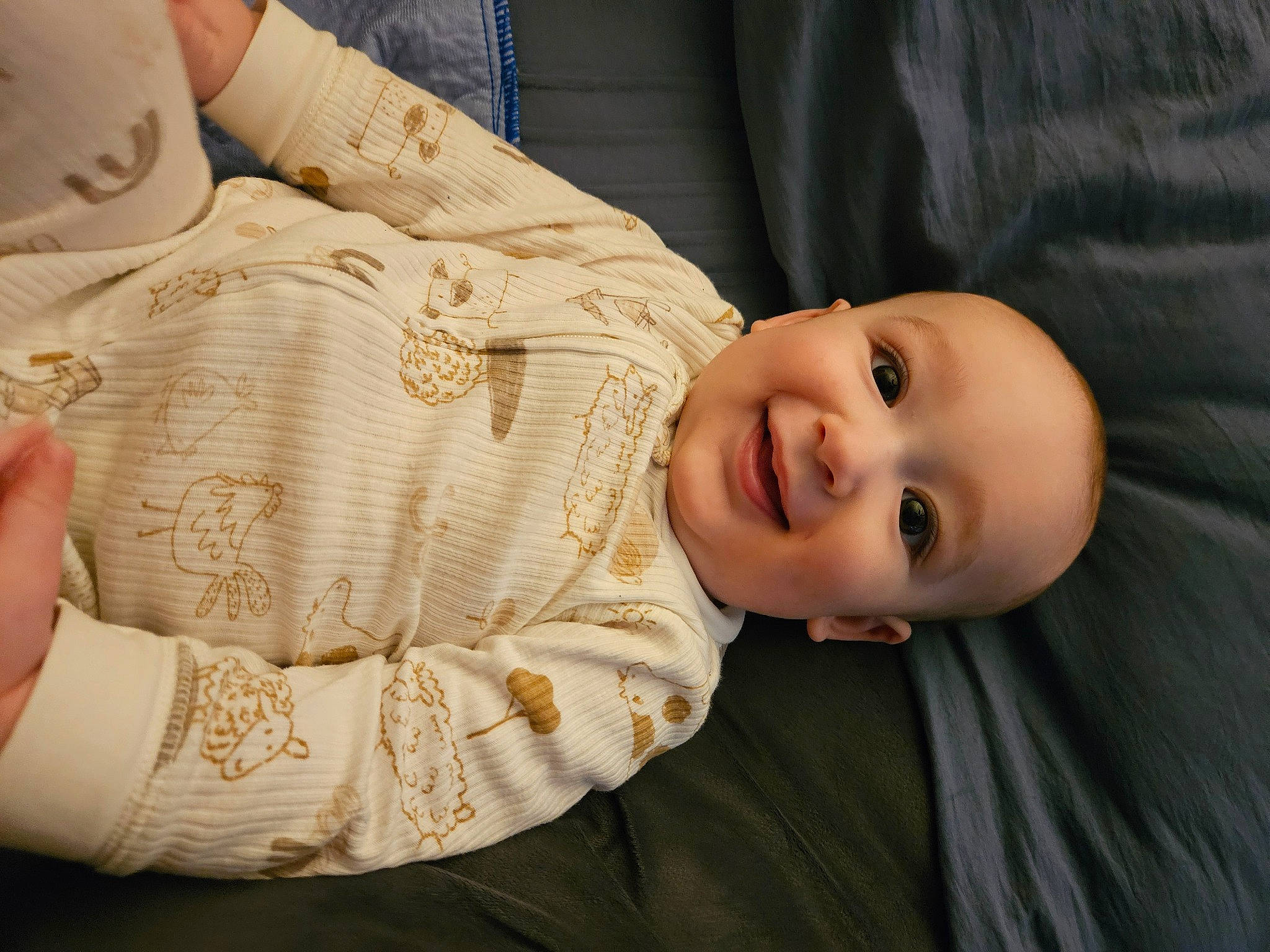 Dominic is registered to the contest to win money with this photo: baby, baby_toddler_clothing, cheek, child, comfort, elbow, face, facial_expression, happy, joy, nose, person, plant, portrait_photography, sitting, skin, sleeve, smile, toddler, tree