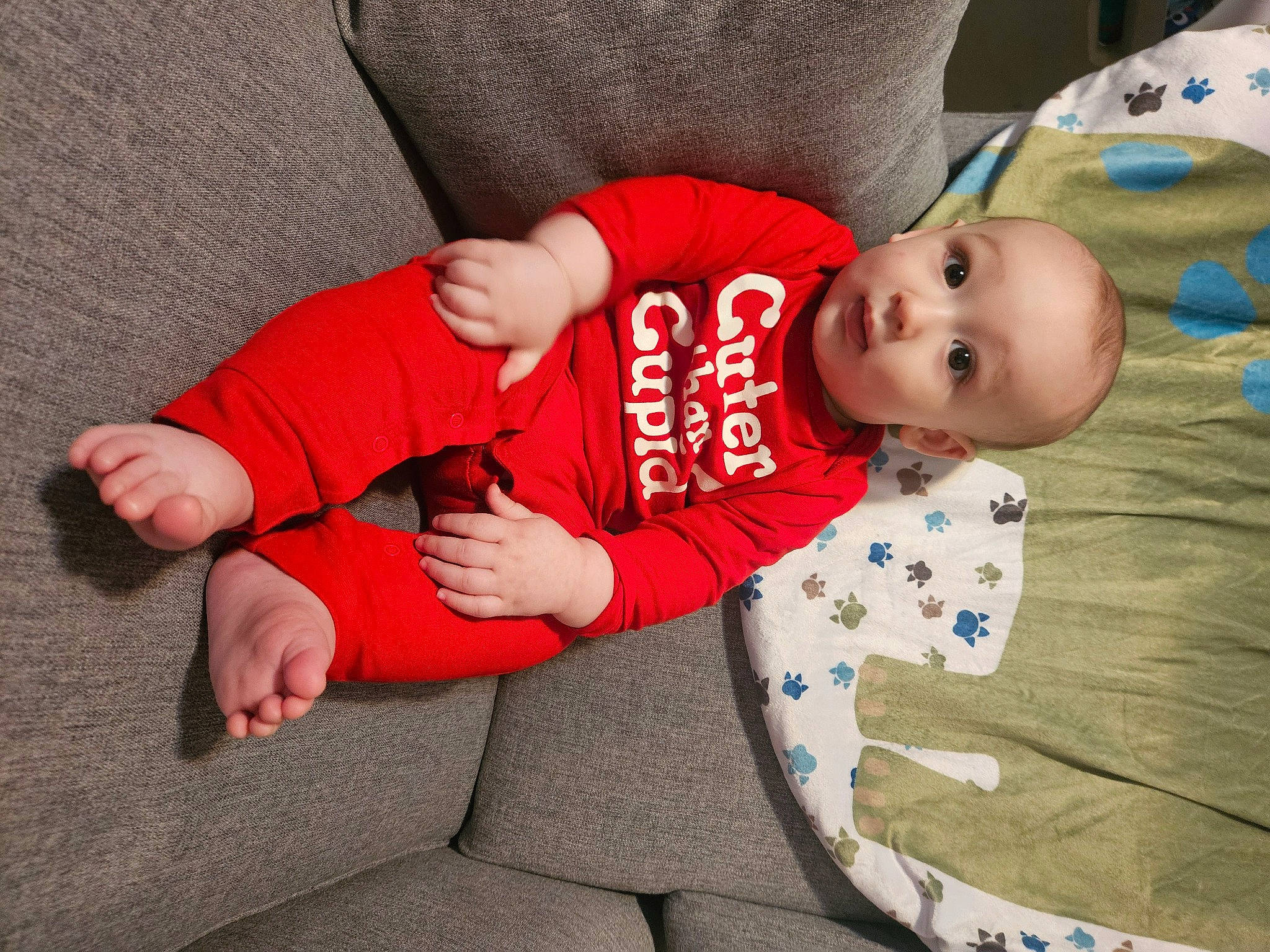 Dominic is registered to the contest to win money with this photo: baby, baby_toddler_clothing, carmine, child, comfort, couch, elbow, finger, human_body, human_leg, knee, leg, linens, person, room, sitting, sleeve, thigh, toddler, tree