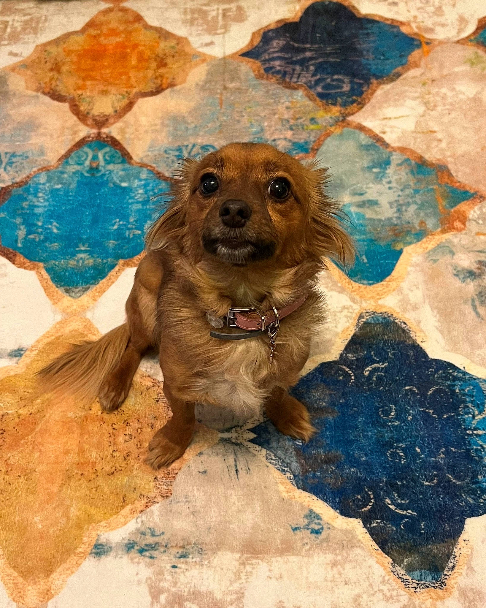 Rosie joined the competition — help win amazing prizes! art, canidae, carnivore, companion_dog, dog, dog_breed, drawing, fawn, fur, illustration, liver, paint, painting, puppy, snout, sporting_group, terrestrial_animal, visual_arts, whiskers, working_animal