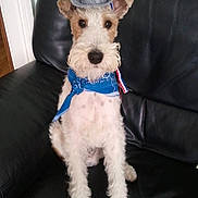 Ghost a rejoint le concours — aidez-le/la à gagner de superbes lots !