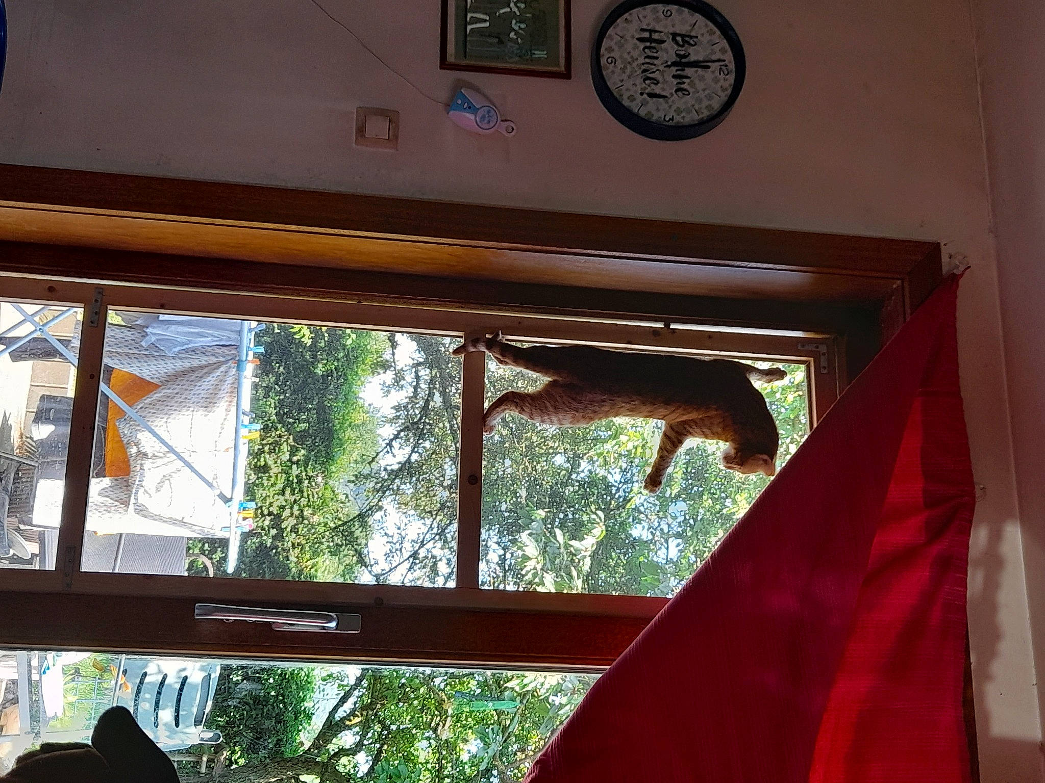 Popeye participe au concours pour gagner de l'argent avec cette photo : automotive_exterior, beam, building, ceiling, door, glass, hardwood, house, interior_design, line, metal, shade, textile, tints_and_shades, tree, vehicle_door, window, window_treatment, wood, wood_stain