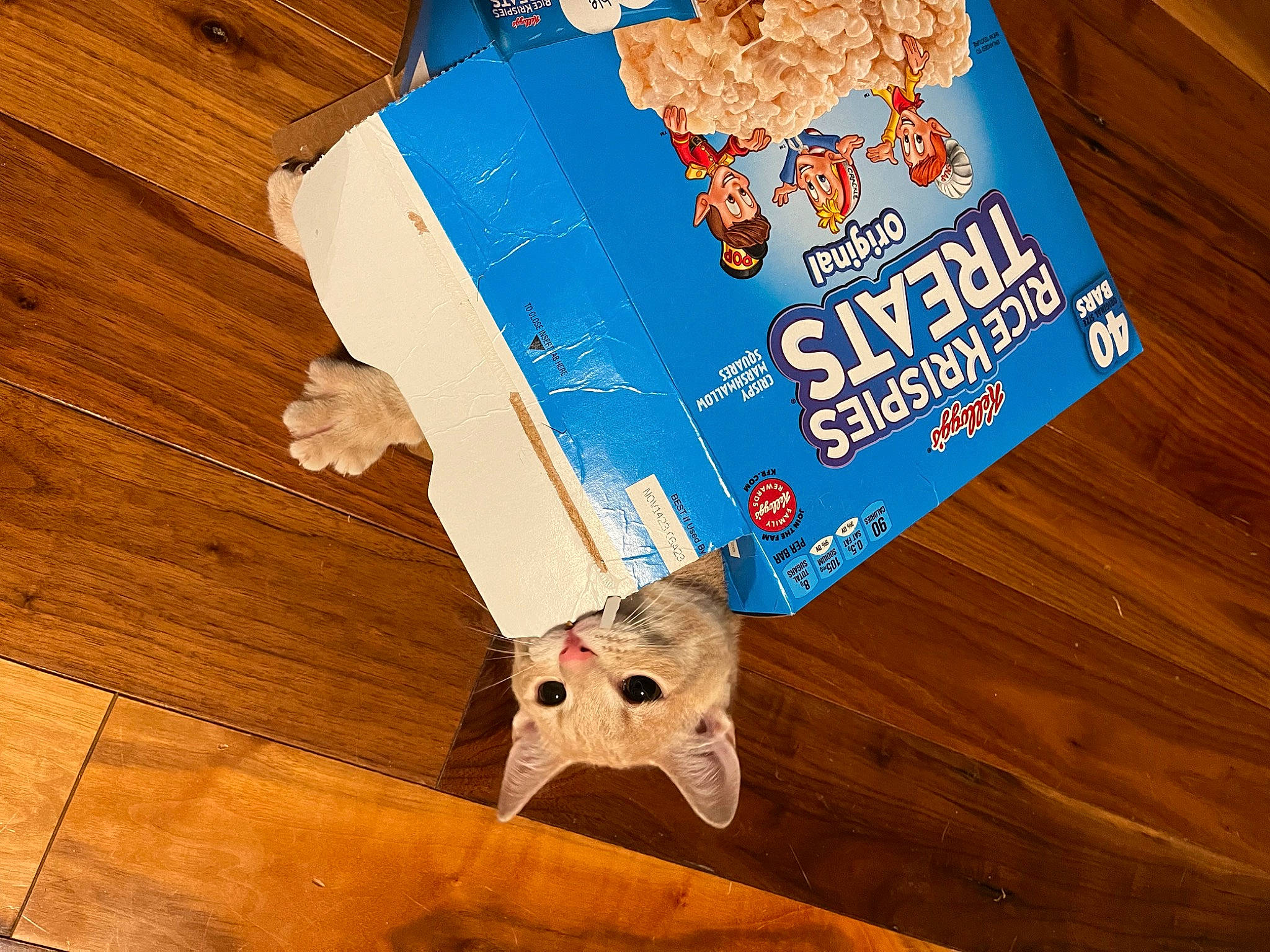 Jasper is registered to the contest to win money with this photo: art, comfort_food, electric_blue, flooring, font, games, hardwood, illustration, laminate_flooring, map, paper, paper_product, pattern, plank, plywood, varnish, wood, wood_flooring, wood_stain, world