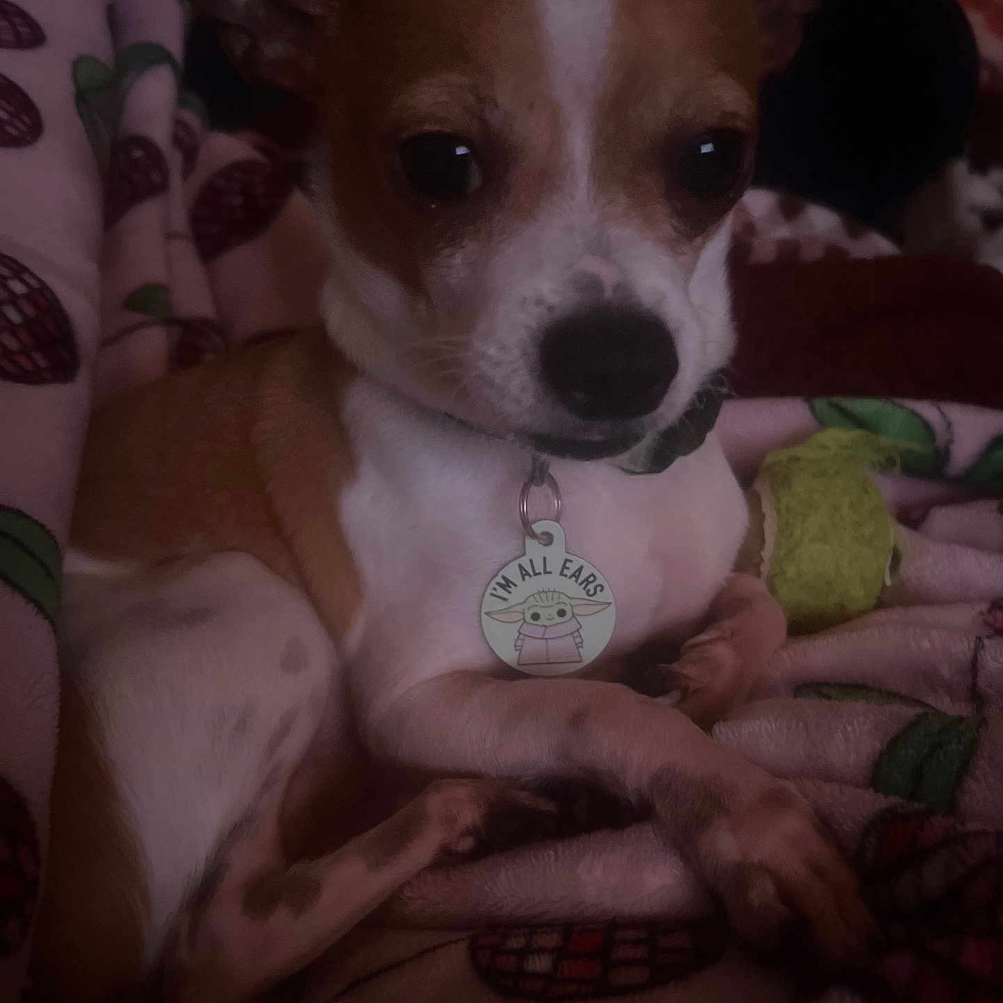 Peanut