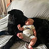 affection, animal, baby, black_dog, blanket, child, comfort, cuddling, cute, dog, furry, home, indoor, infant, lying_down, onesie, pet, resting, sleepwear, soft