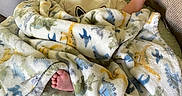 Wylde joined the competition — help win amazing prizes! baby, blanket, couch, pillow, sleeping, infant, child, foot, arm, face, fabric, pattern, dinosaur, cat, comfort, indoor, resting, cozy, soft, relaxation