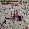 Nash joined the competition — help win amazing prizes! baby, bed, blanket, breathing_mask, care, clothing, colorful, cute, face, healthcare, hospital, hospital_equipment, incubator, infant, lying_down, medical_tubes, newborn, nursery, patient, premature