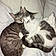 Lolli And Noni