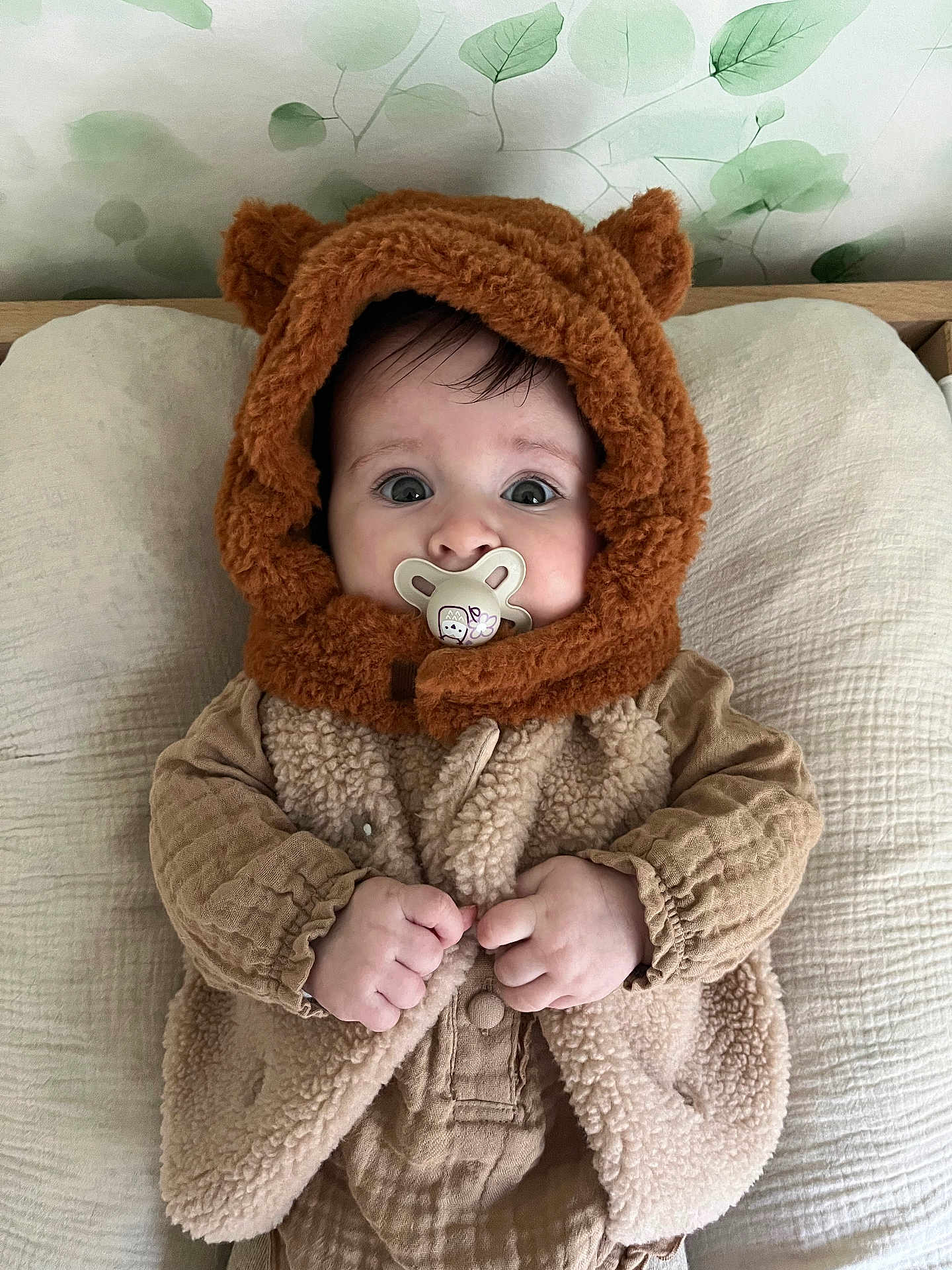 Victoire a rejoint le concours — aidez-le/la à gagner de superbes lots ! baby, pacifier, hood, teddy_bear, vest, fleece, infant, clothing, hands, face, eyes, cushion, blanket, indoor, portrait, cute, soft_texture, wallpaper, sleeping_area, babywearing