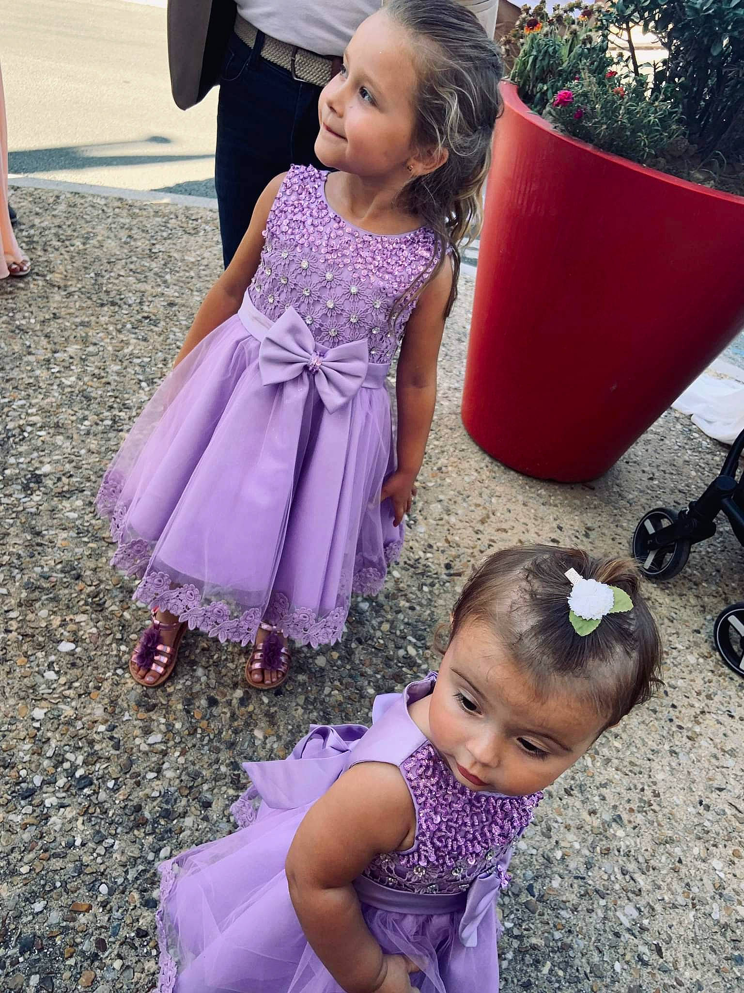 Bryanna Et Yelenna participe au concours pour gagner de l'argent avec cette photo : beauty, child, face, flowerpot, fun, grass, hairstyle, happy, head, houseplant, leisure, magenta, person, photograph, pink, plant, purple, smile, summer, toddler