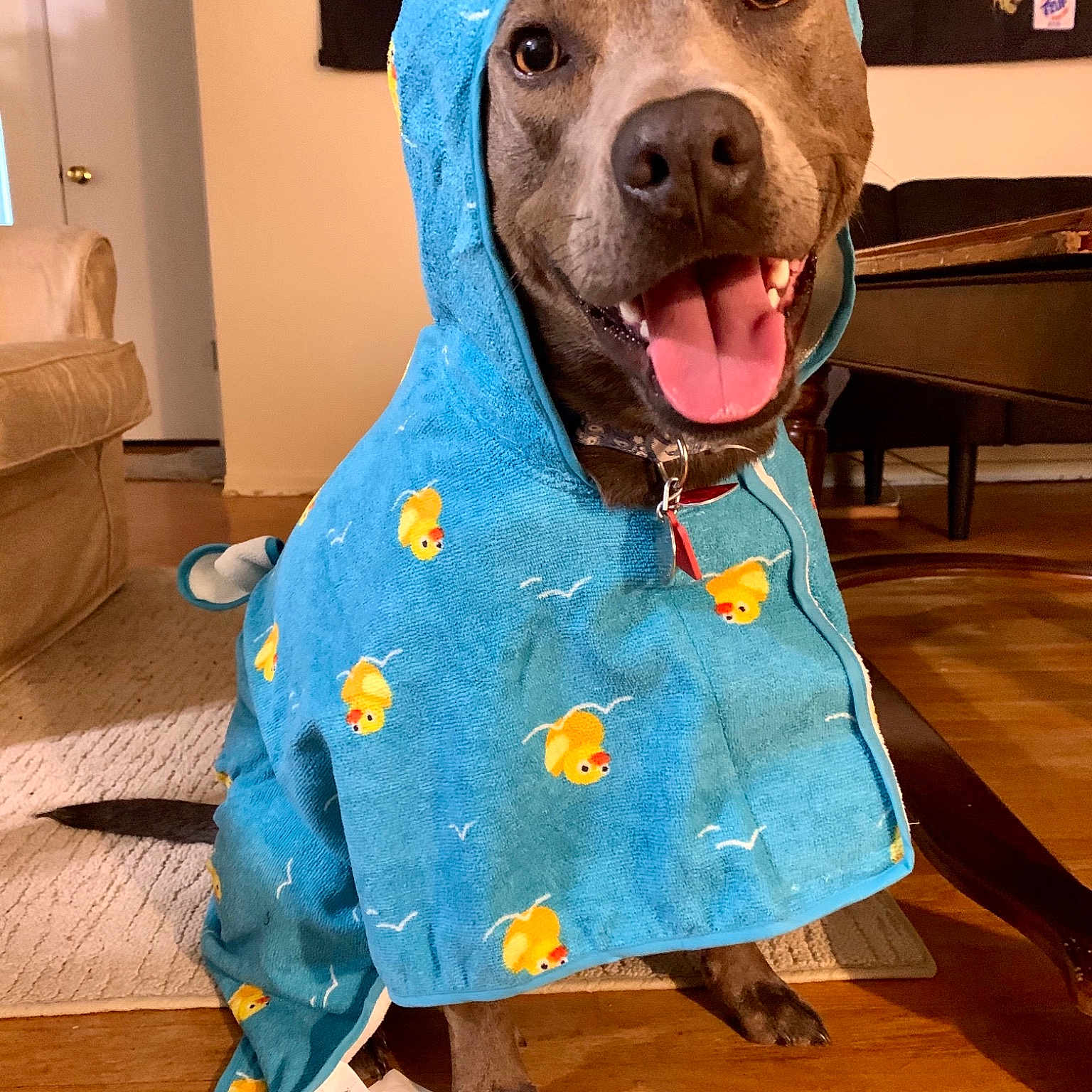 Ellie