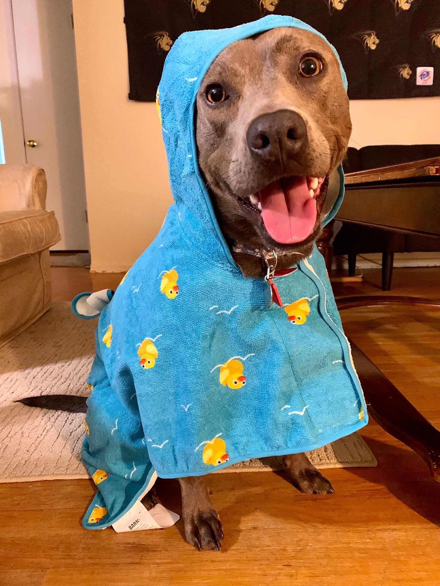 Ellie