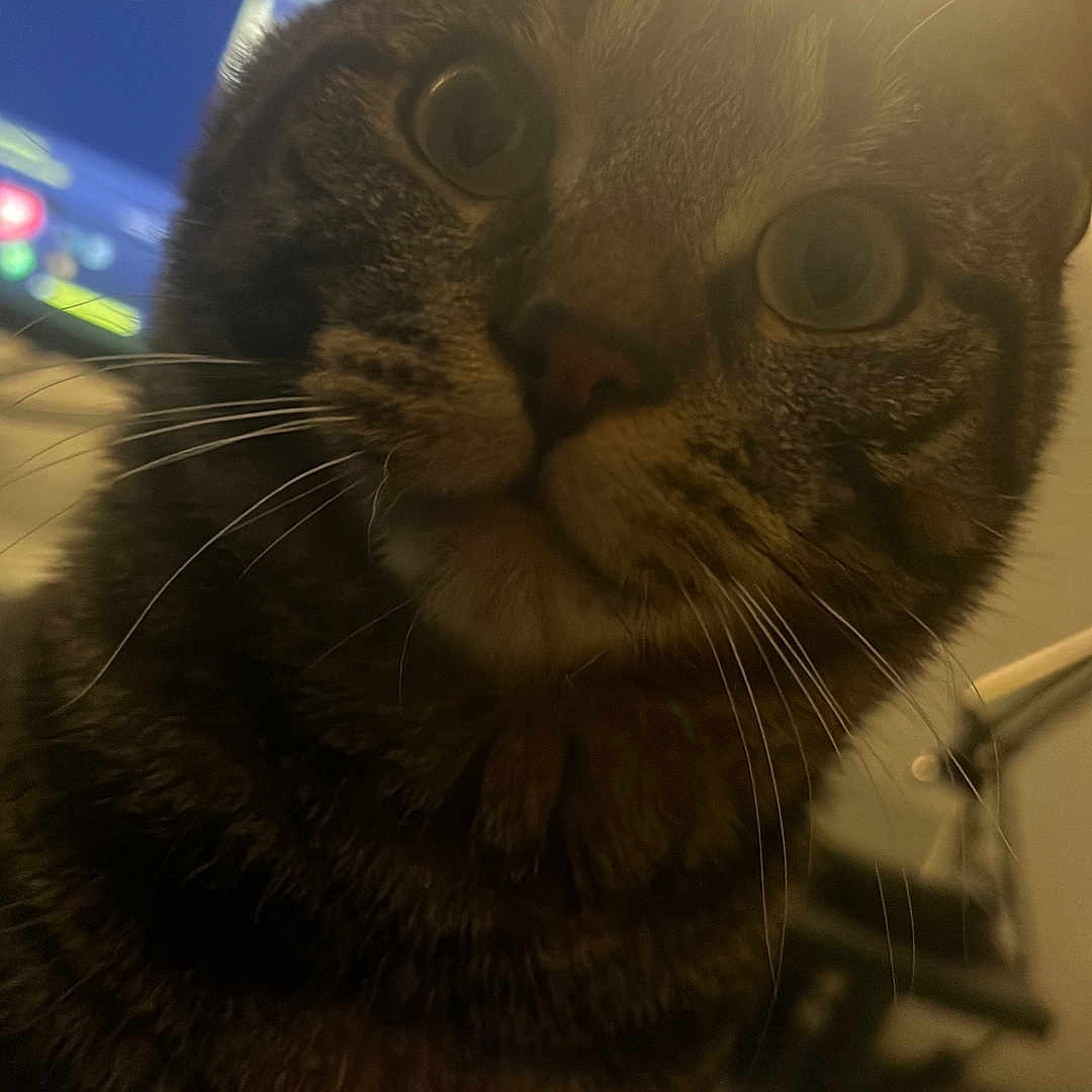 Carlos