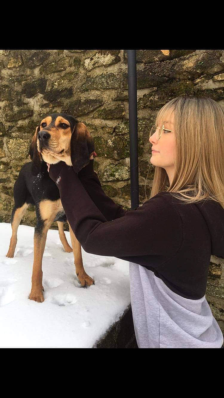 Kalie a rejoint le concours — aidez-le/la à gagner de superbes lots ! beauty, canidae, carnivore, companion_dog, dog, dog_breed, fashion_design, fawn, flash_photography, formal_wear, fur, gesture, happy, hound, long_hair, outerwear, people_in_nature, sporting_group, street_fashion, working_animal