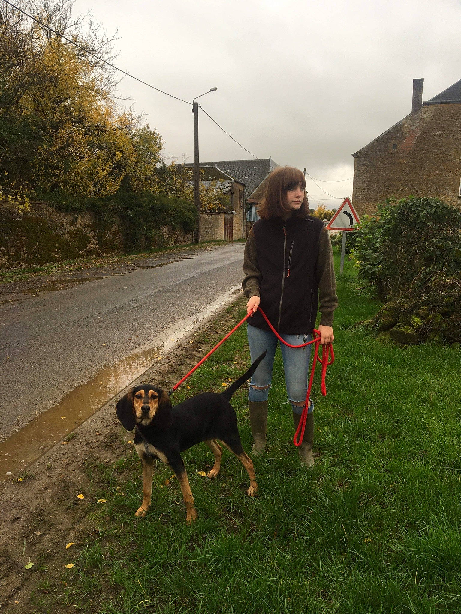 Kalie participe au concours pour gagner de l'argent avec cette photo : asphalt, carnivore, cloud, companion_dog, dog, dog_breed, dog_hiking, dog_walking, fashion_accessory, grass, leash, plant, recreation, shrub, sky, soil, sporting_group, street_light, tree, walking