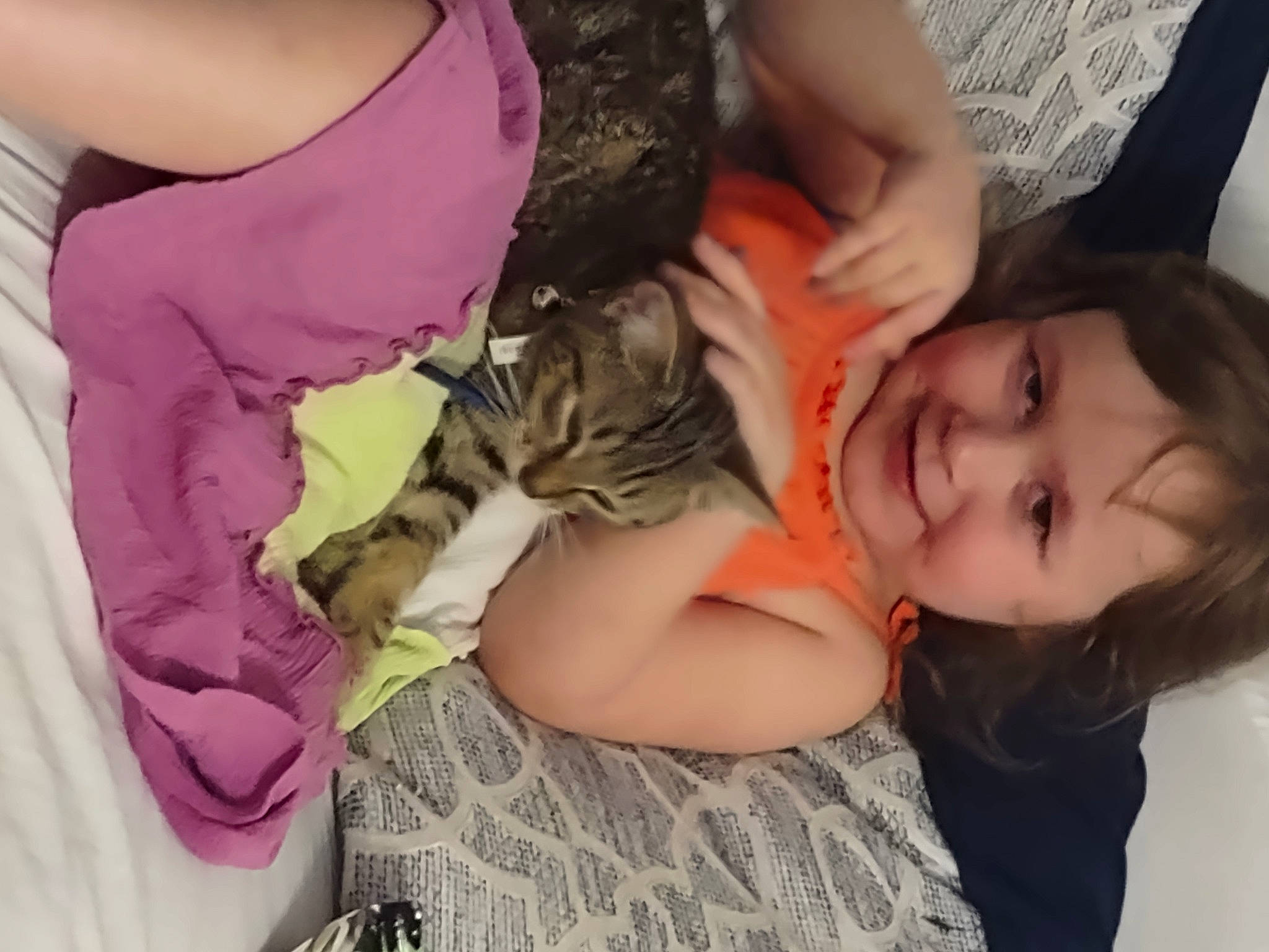 Kilah joined the competition — help win amazing prizes! arm, carnivore, cat, child, comfort, fawn, felidae, finger, gesture, hand, happy, joint, joy, long_hair, nail, neck, person, skin, small_to_medium_sized_cats, smile
