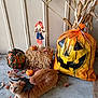 animal, autumn, bat_wings, cat, concrete_floor, costume, decorations, fall_leaves, festive, gourd, halloween, hay_bale, holiday, indoor, jack_o_lantern, orange_tabby, pet, plastic_bag, pumpkin, scarecrow