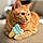 Ginger