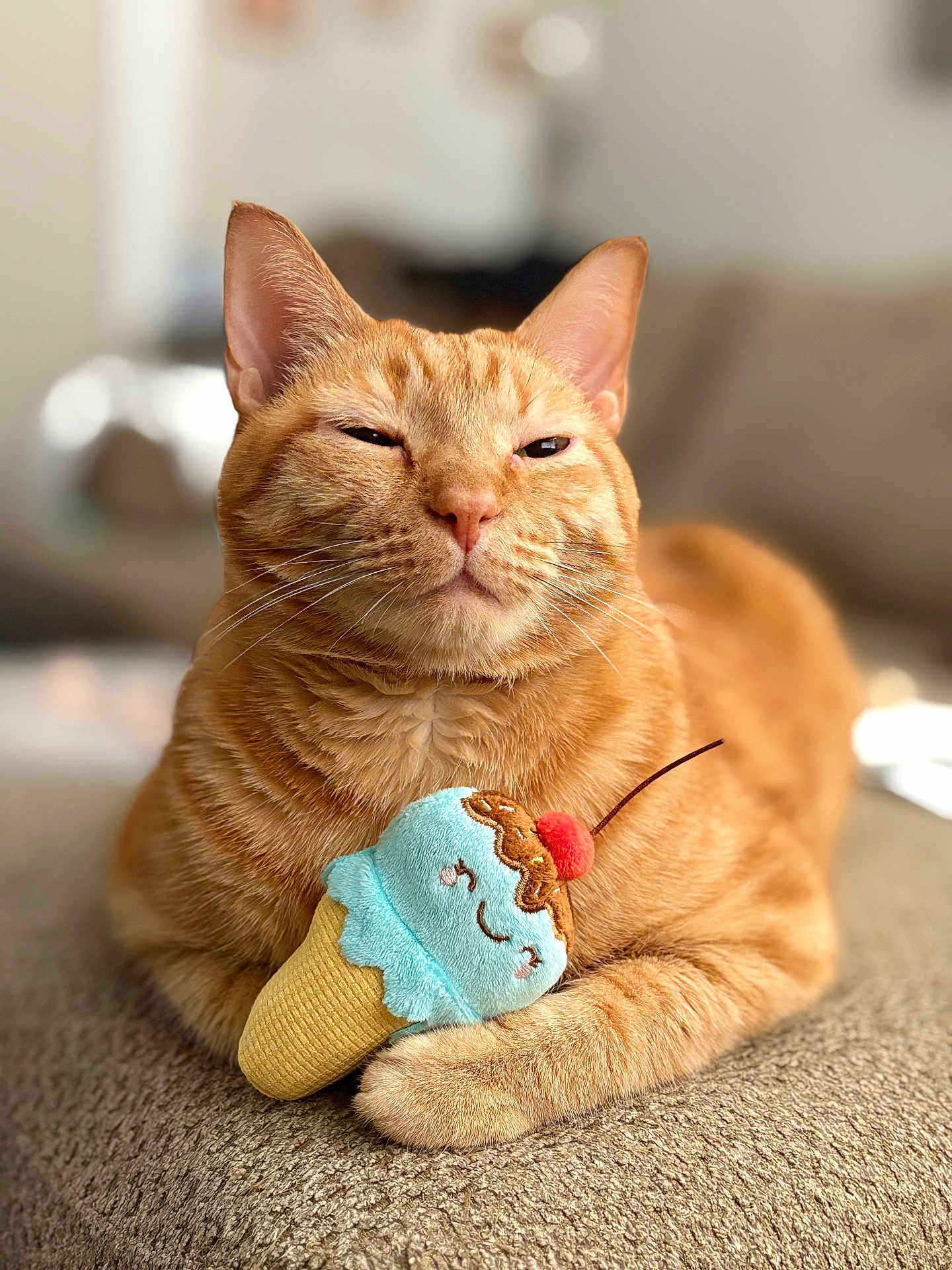 Ginger