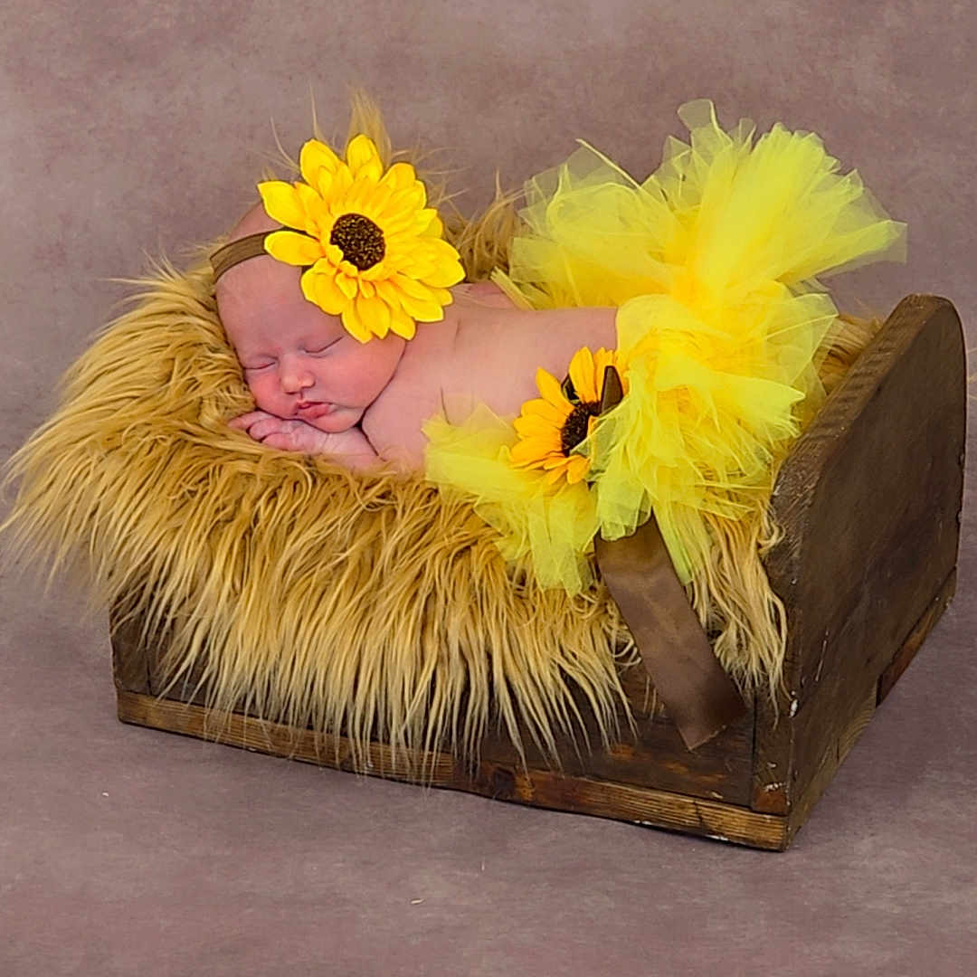 Emilie Reine joined the competition — help win amazing prizes! animal, baby, bed, box, canine, clothing, couch, daisy, dress, face, flower, flowerarrangement, flowerbouquet, furniture, head, newborn, person, plant, sunflower, treasure