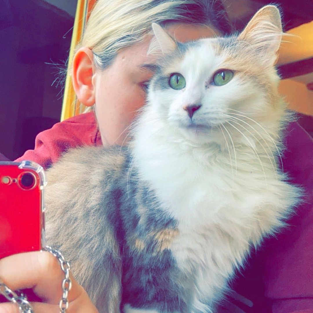 Nina