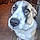 Cooper