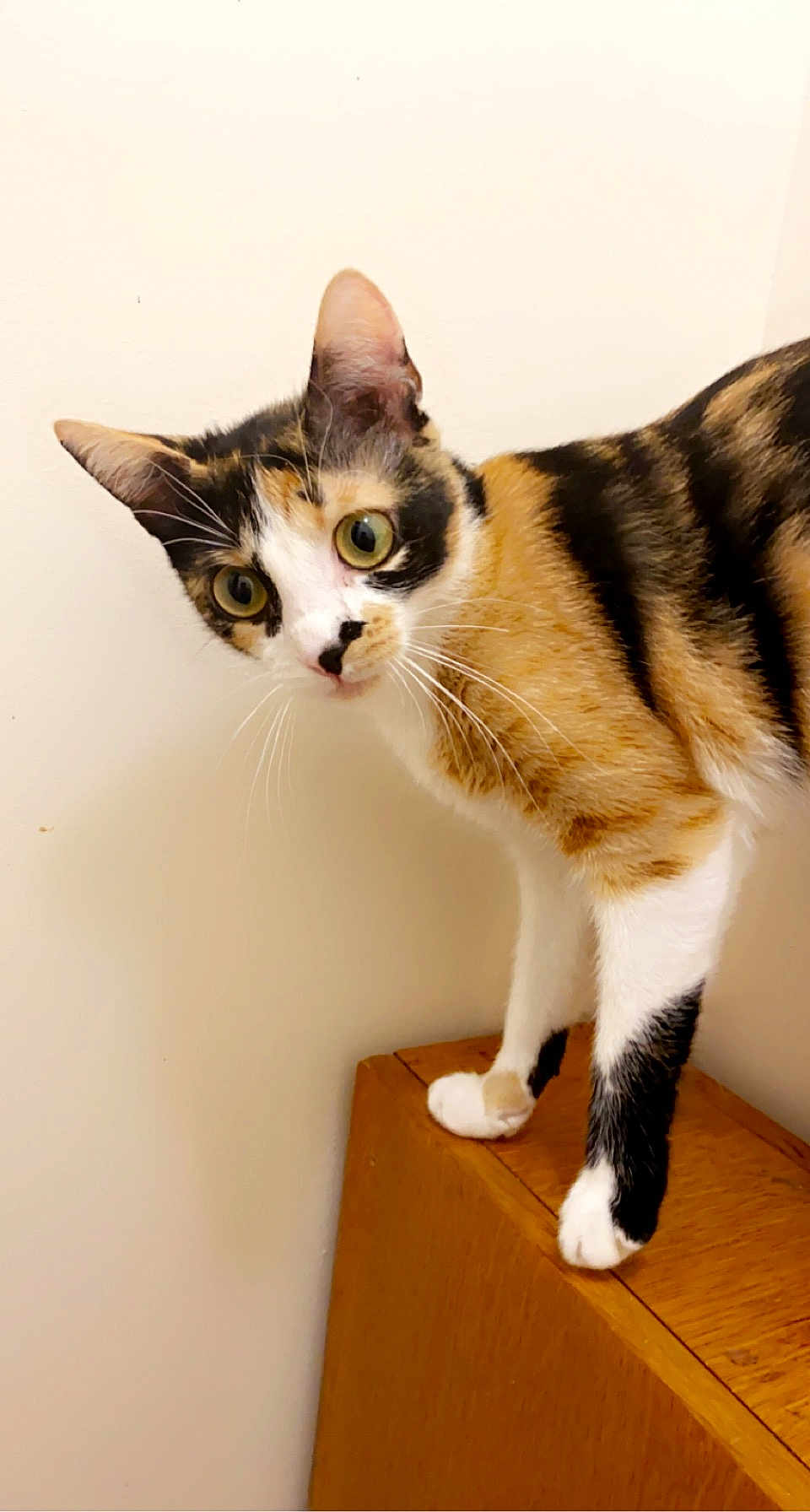 Mia