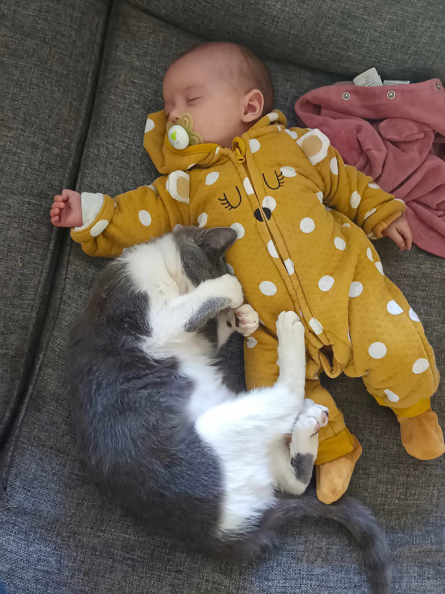 Ilona a rejoint le concours — aidez-le/la à gagner de superbes lots ! baby, infant, sleeping, cat, gray_cat, yellow_onesie, polka_dot, couch, sofa, cozy, nap, resting, pet, animal, indoor, cute, child, soft, peaceful, relaxation