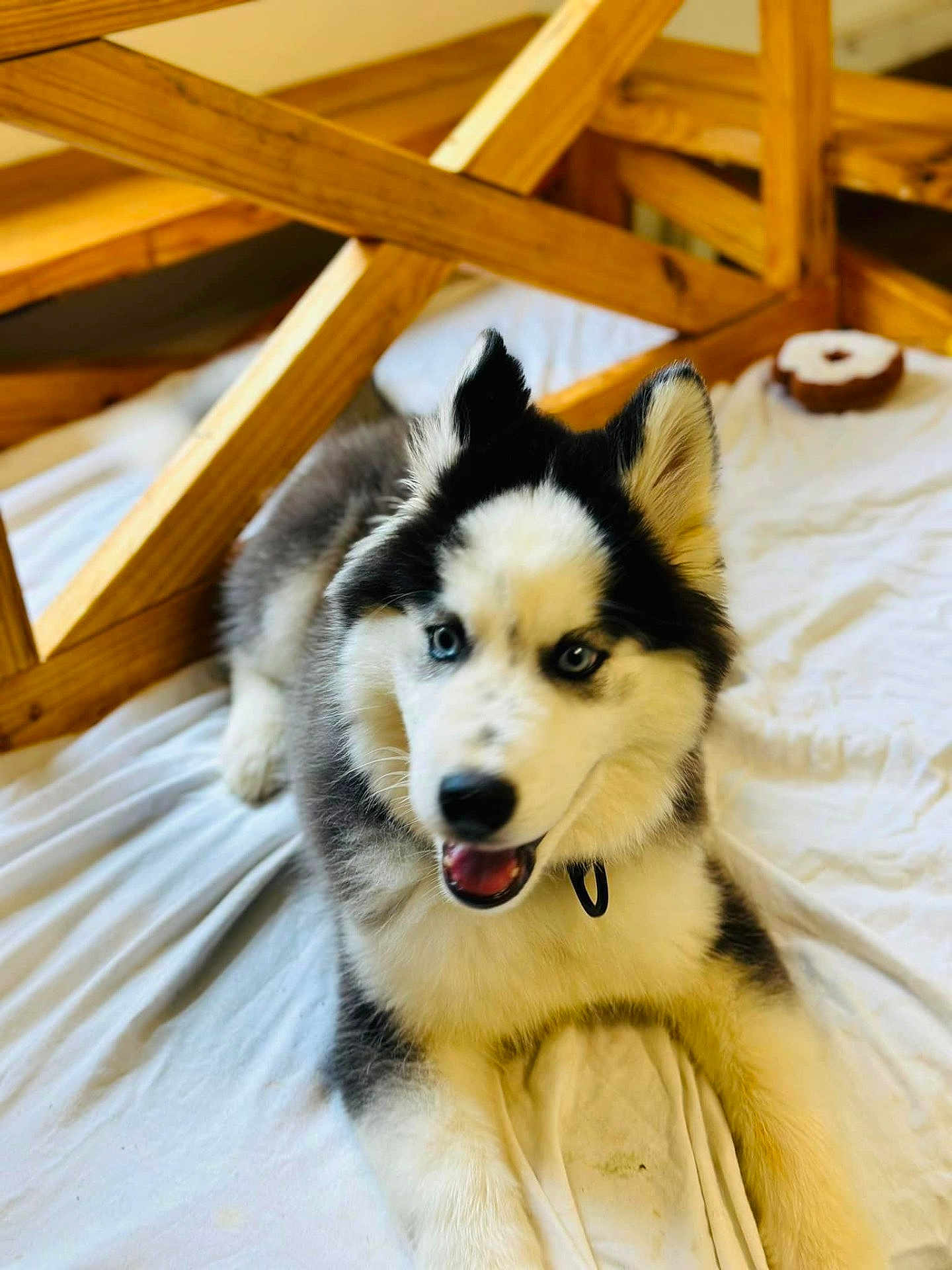 Blu