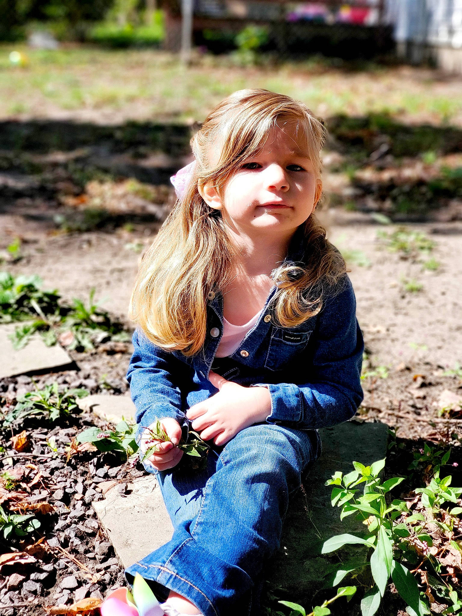 Dixie is registered to the contest to win money with this photo: beauty, botany, clothing, denim, flash_photography, fun, grass, hairstyle, happy, human, jeans, leaf, leisure, people_in_nature, person, photograph, plant, summer, sunlight, wood