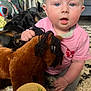Lillian is registered to the contest to win money with this photo: baby, infant, 5_months, plush_toy, horse, milestone_sign, pink_shirt, blue_eyes, blonde_hair, carpet, dog, indoor, home, cute, child, sitting, toy, floor, hand, foot